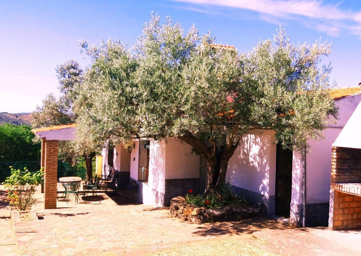 Villa Cortijo Era Grande 2 Córdoba Exterior foto